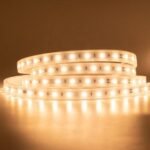 High Bright Dc24v Led Rope Light 8mm Flexible 3000k 4000k 6000k 120led 2835 90CRI Led Strip Light - Image 4
